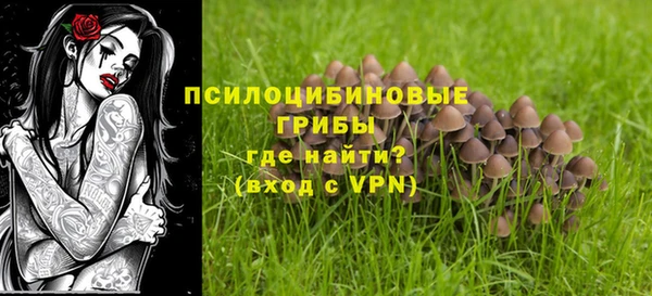 PSILOCYBIN Лиски
