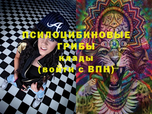 PSILOCYBIN Лиски